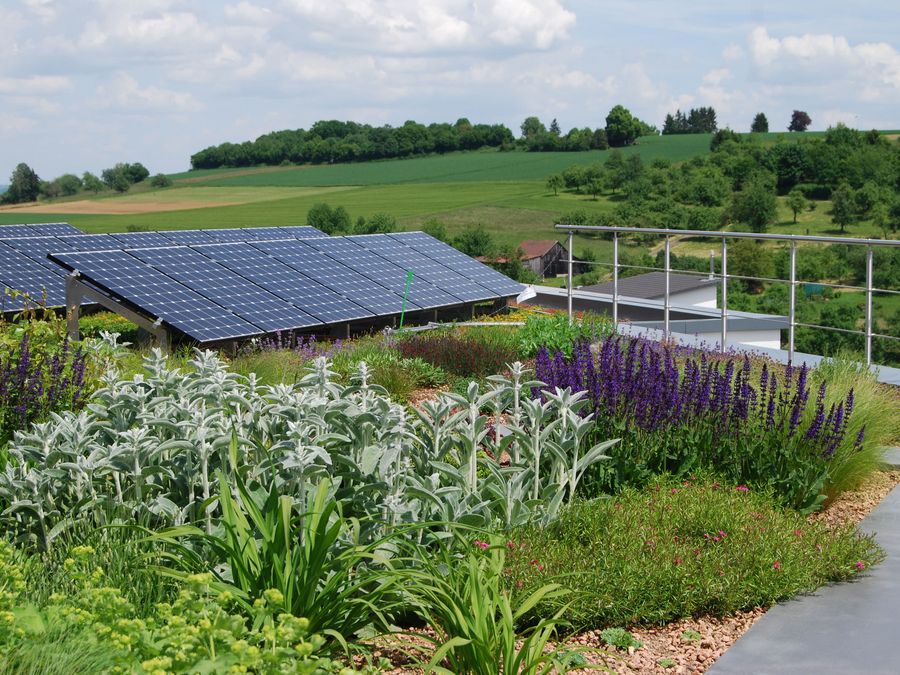Dachbegrünung und Solar Dachbegrünung und Solar