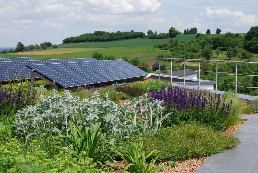 Dachbegrünung und Solar Dachbegrünung und Solar