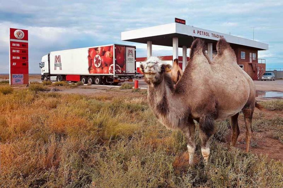 Müller Transporte Transport in Kasachstan