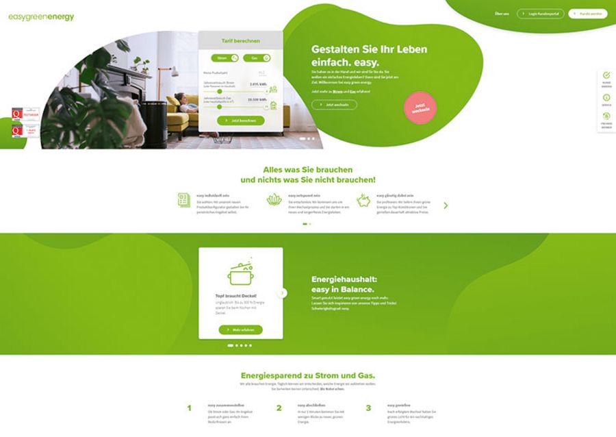 easy green energy Anbieterwechsel