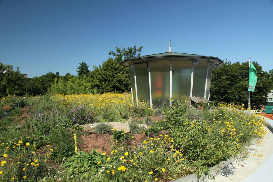 Biodiversitäts-Gründach Biodiversitäts-Gründach