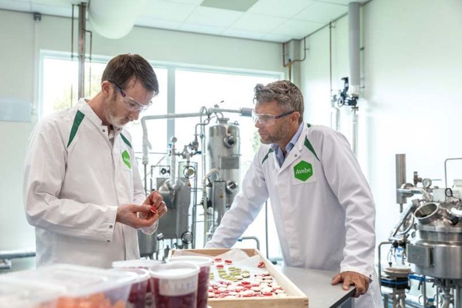 Das Royal Avebe Innovation Center in Groningen