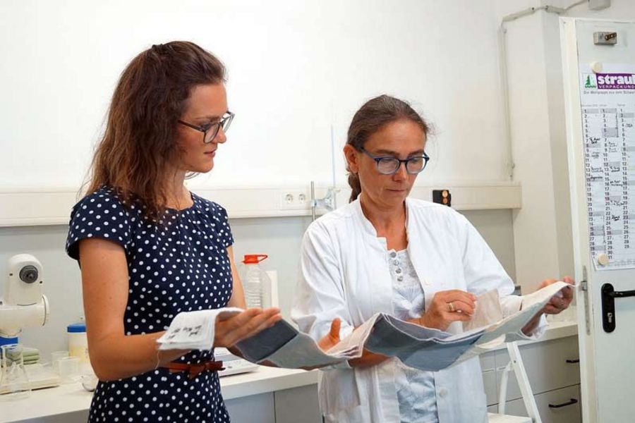 REMSGOLD Produktentwicklung REMSGOLD Produktentwicklung