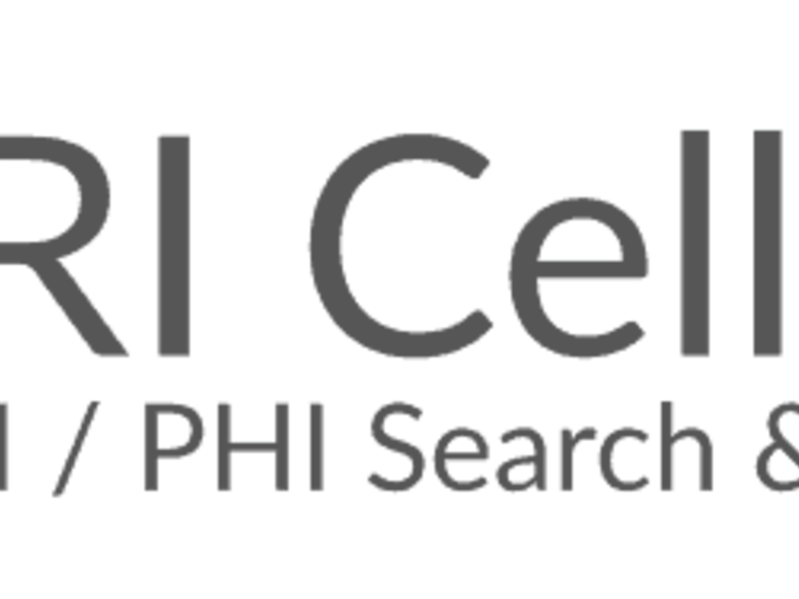 CellShield für Reporting & Maskierung von PII / PHI / PAN in Microsoft Excel® Tabellen CellShield für Reporting & Maskierung von PII / PHI / PAN in Microsoft Excel® Tabellen