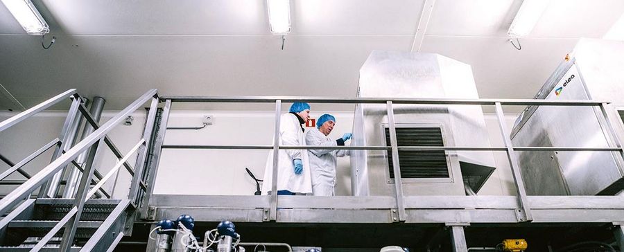 Die Saftproduktion von Elea. Die Saftproduktion von Elea.