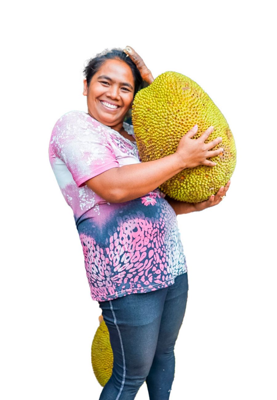 Lemar B.V. Jackfruit nach der Ernte Lemar B.V. Jackfruit nach der Ernte