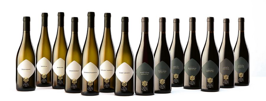Cantina di La Vis hat sowohl Weiß- als auch Rotweinlinien im Sortiment. Cantina di La Vis hat sowohl Weiß- als auch Rotweinlinien im Sortiment.