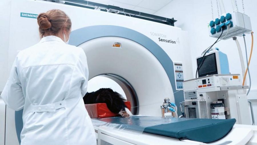 Tiergesundheitszentrum Grußendorf Moderne Diagnostik Tiergesundheitszentrum Grußendorf Moderne Diagnostik