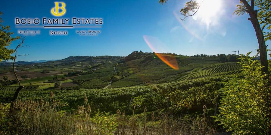 Bosio family estates srl