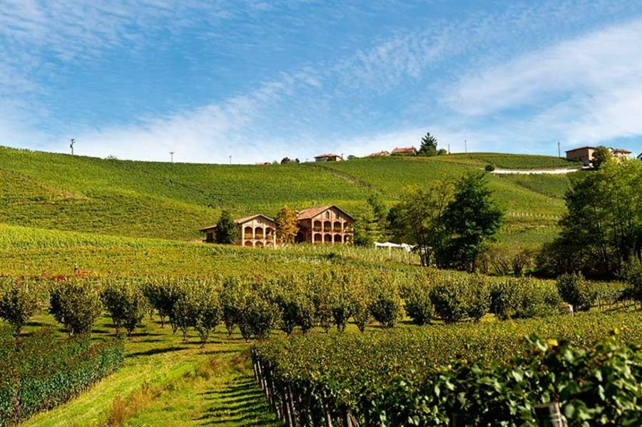 Batasiolo Weinanbau
