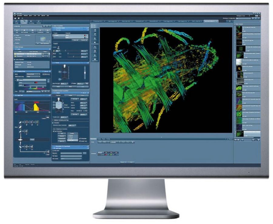 Eine Software für alle Lichtmikroskope von Carl Zeiss: ZEN 2011