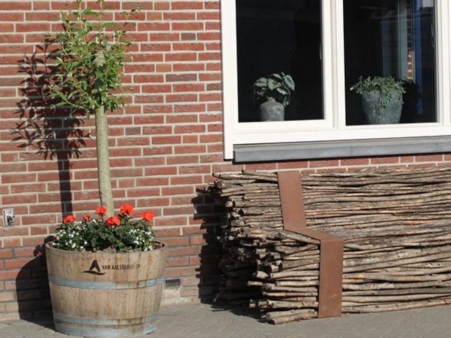 Lebende Kopfweide in Holzkiste Lebende Kopfweide in Holzkiste