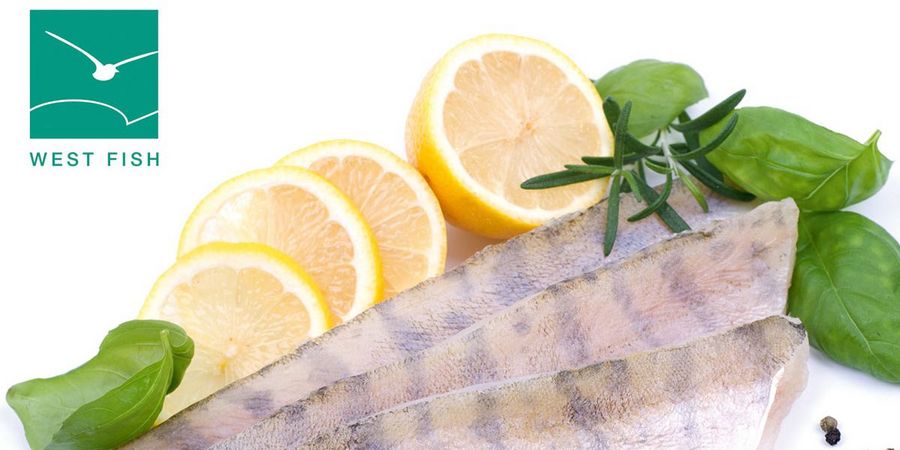 West Fish GmbH