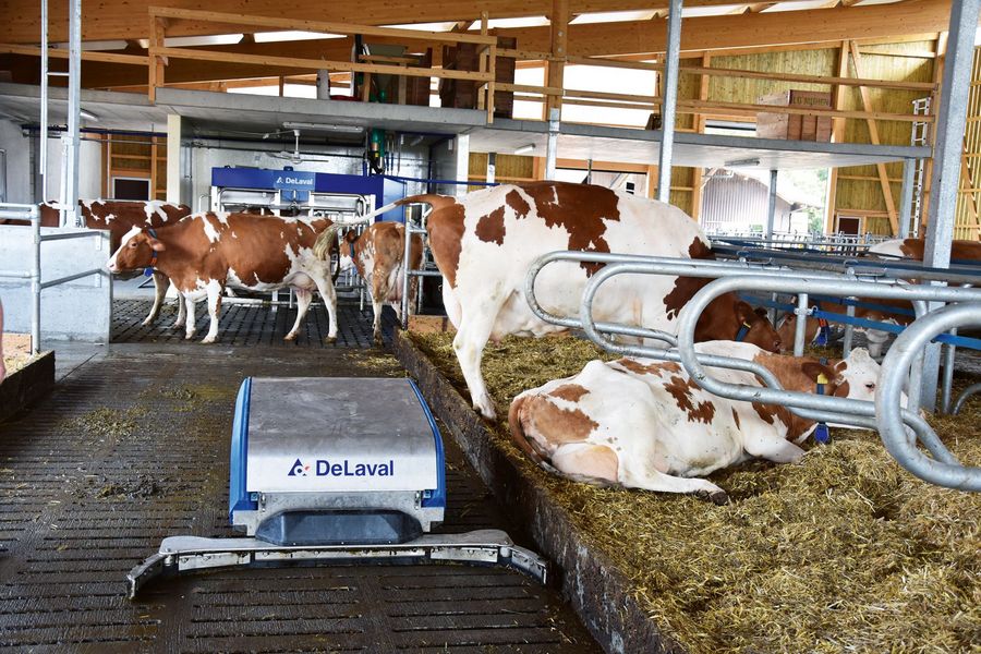 DeLaval GesmbH Entmistungsroboter RS450 