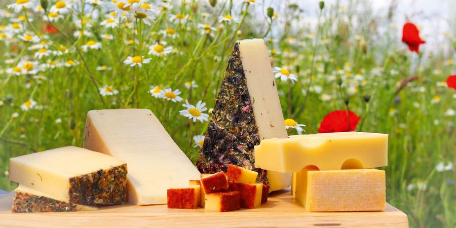 v VÖCKLAKÄSEREI eGen Bergkäse, Emmentaler oder Mondseer
