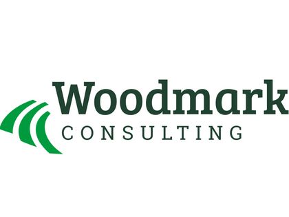 Woodmark Consulting AG