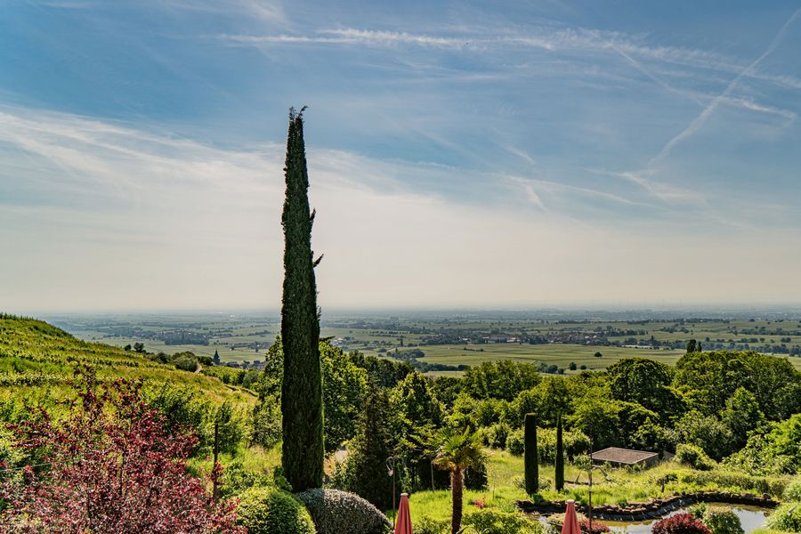 weinhaus-lergenmueller-landschaft-st-annaberg weinhaus-lergenmueller-landschaft-st-annaberg