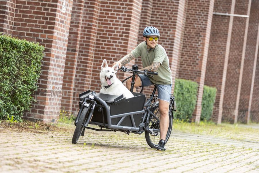 Lesora GmbH Lastenfahrrad Lesora GmbH Lastenfahrrad