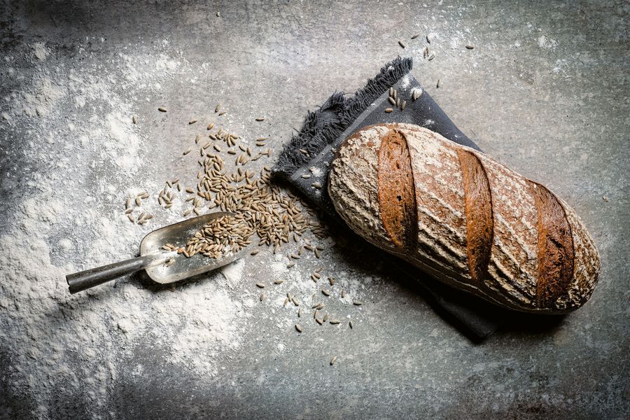 backwelt-pilz-waldviertler-bio-roggenbrot