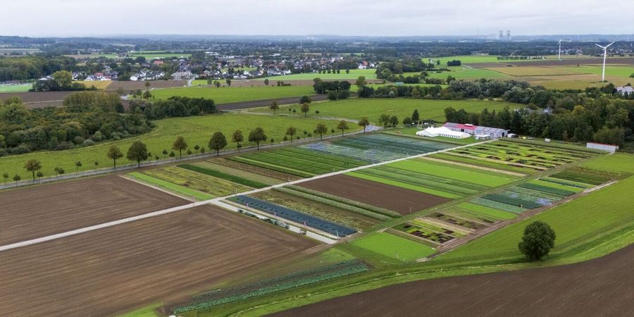 Rijk Zwaan Welver GmbH Standort Welver