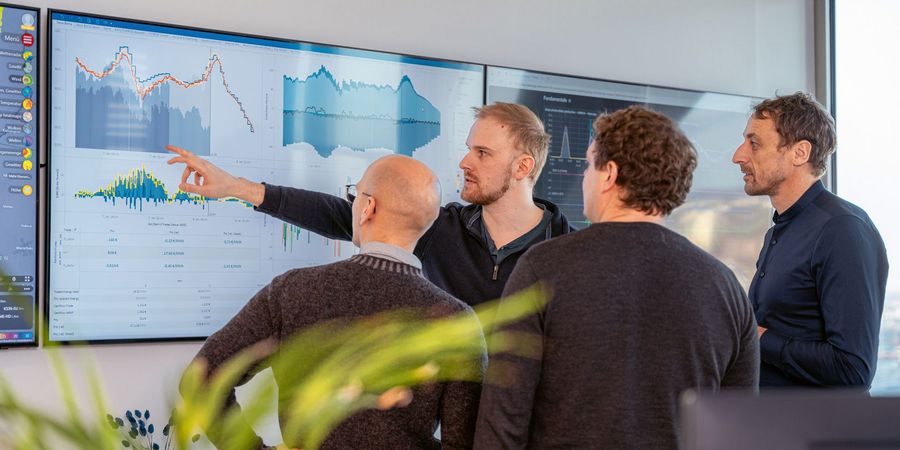 ANE GmbH & Co. KG Beratung