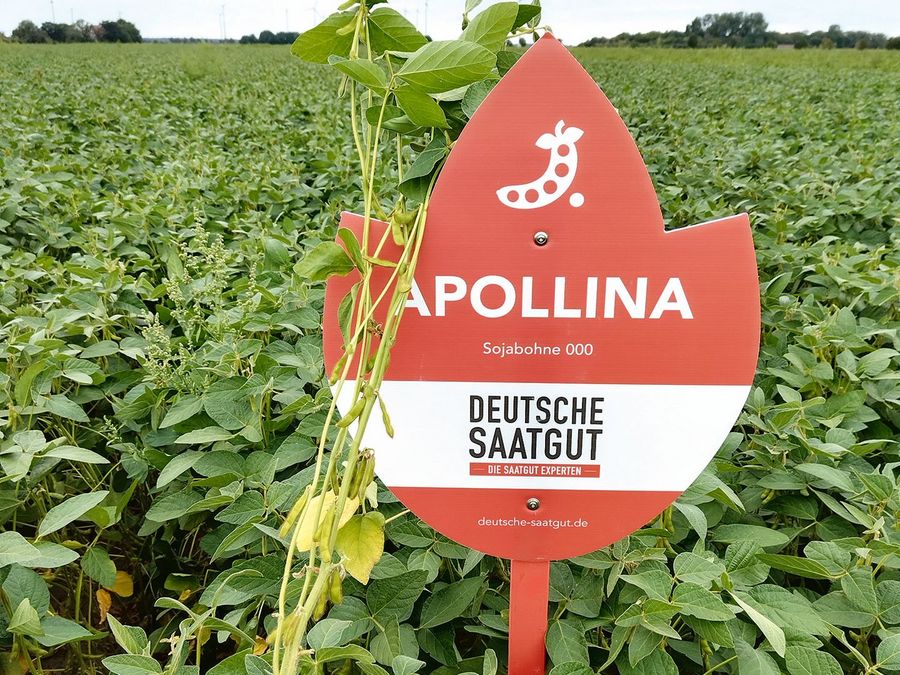 „Wir müssen uns die mittelständische Landwirtschaft  bewahren!“