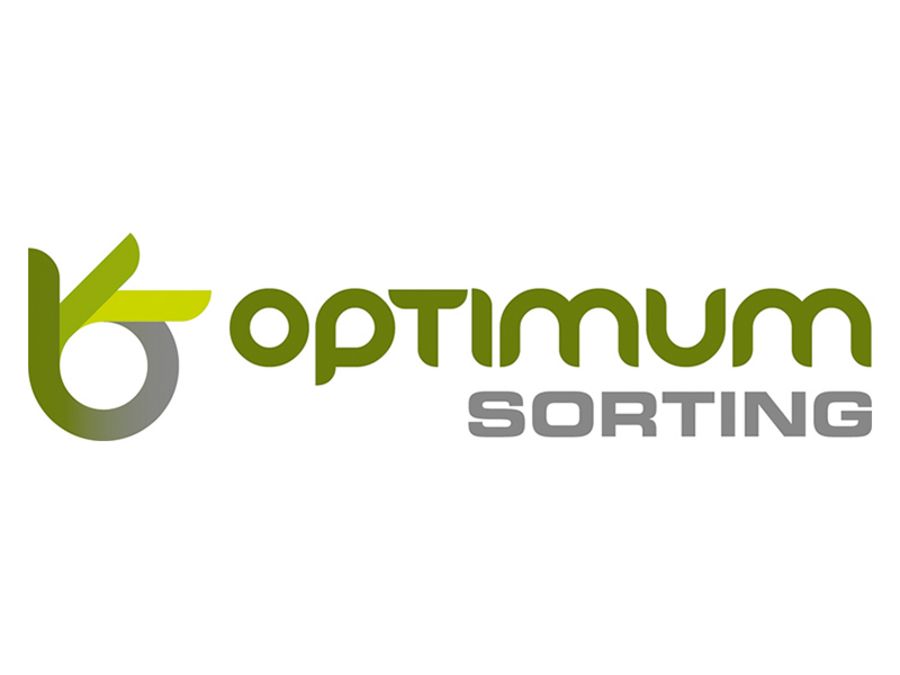 Optimum Sorting