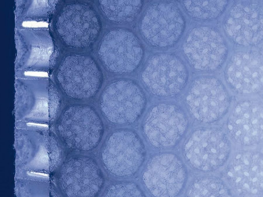 Leicht, stark, nachhaltig –  die Zukunft gehört dem Leichtbau