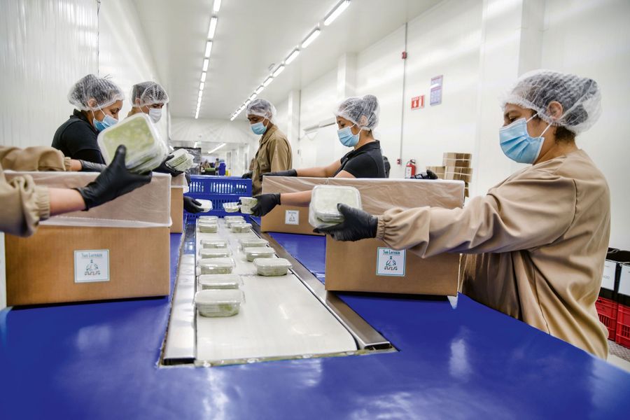Agora America GmbH Guacamole-Produkte