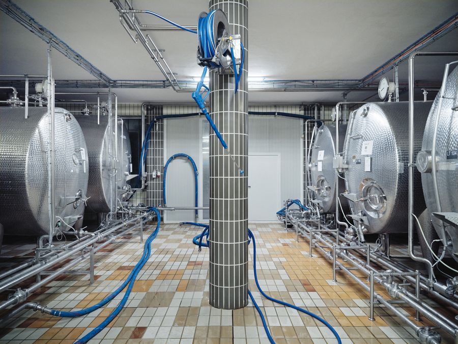 Modernste Technik trifft Pioniergeist: Produktion von alternativen Bio-Milchprodukten bei Leeb