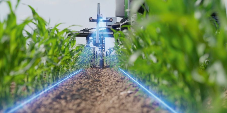 Mehr Effizienz durch offene Agrarsysteme