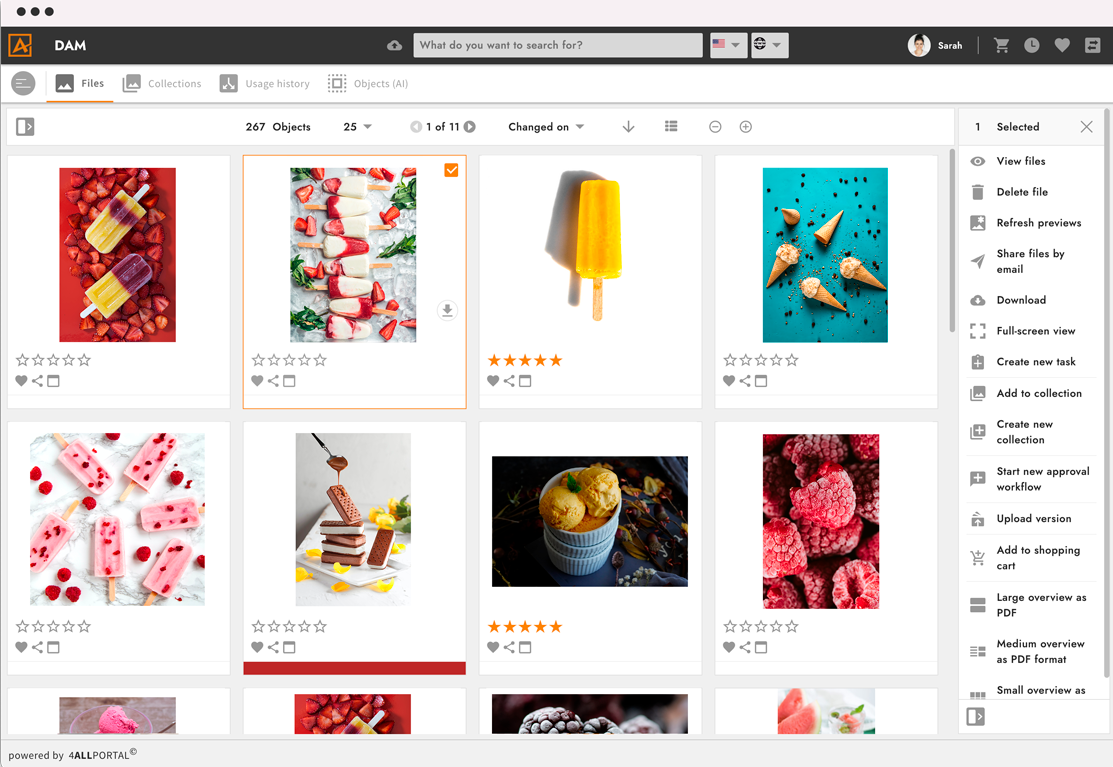 4ALLPORTAL - DAM Software - Digital Asset Management 4ALLPORTAL - DAM Software - Digital Asset Management